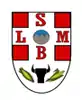 Coat of arms of São Luís de Montes Belos