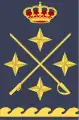 General del aire(Spanish Air and Space Force)