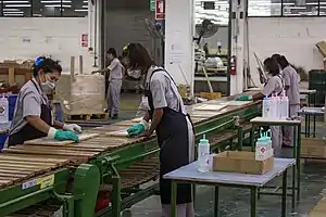 Women wearing gloves and masks on an assembly line