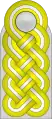 Shoulder board (Waffen-SS)