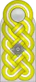 Shoulder board (Waffen-SS)