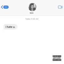 An iPhone screenshot of a text conversation with SZA, whose avatar is a greyscale portrait of her taking a selfie by the mirror. Sent at 8:06 a.m., the sole message, which comes from SZA, reads "I hate u."