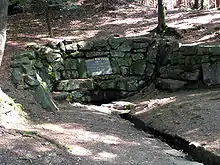 Source of the River Saale