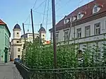 Hops garden, surrounded by buildings