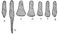 Sabatons' shape evolution by Wendelin Boeheim: 1290–13901300–14901500–15301530–15401540–15501550–15601560–1590