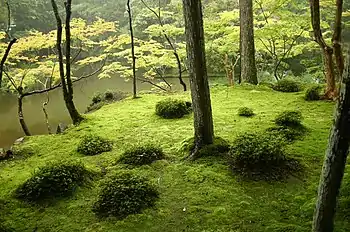 Saihō-ji's moss garden is both a Special Place of Scenic Beauty　and a Historic Site