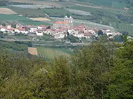 The village of Saint-Didier-sous-Riverie in the middle of orchards.