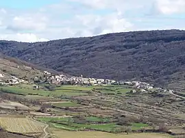 A general view of Saint-Pons