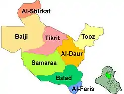 Saladin districts
