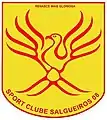 2008–2015as Sport Clube Salgueiros 08
