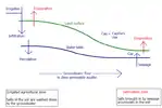 Soil salinization in the lower parts of undulating land with a good aquifer