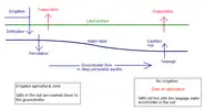 Soil salinization in the unirrigated parts of flat land with a good aquifer