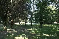 Old manor park in Salno