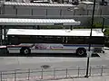 Gillig Phantom with "linear patriot" livery