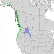 Natural range of S. racemosa var. racemosa (green) and var. melanocarpa (blue) in western North America.