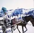 A horse carriage around Republic Square, c. 1968–1969.