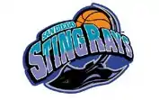 San Diego Stingrays logo