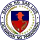 Official seal of San Luis