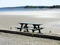 Rose Bay Beach, also known as Sand Dollar Beach