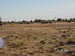 Sand dune stabilization in the Barsuki Desert