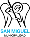 Official logo of San Miguel