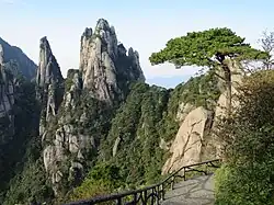 Sanqing Mountain