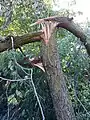 'Sapporo AG': damage sustained during Force 8 gale, Lincolnshire, UK (2020)