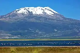 A snow-covered broad mountain rising over a lake with birds