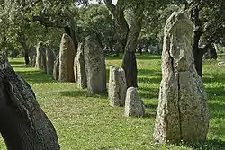 Menhirs at Pranu Mutteddu