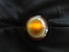 Sardonyx, the traditional birthstone for August