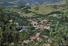 Aerial view of Sasca Montană