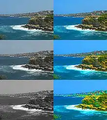 Examples of saturation.Top left = original image.