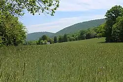 Field and mountain in Upper Paxton Township