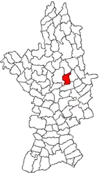 Location in Olt County