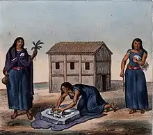A painting of Mapuche women working with agricultural products.
