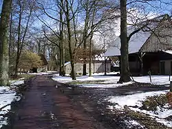 Westerse Bos in winter