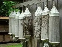 Swarm sacks with captured swarms of bees hanging in a bee enclosure