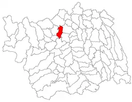 Location in Bacău County