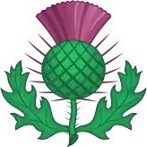 Scottish Thistle