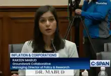 Dr. Rakeen Mabud testifying at the House Oversight and Reform Subcommittee on Economic and Consumer Policy hearing on Corporate Influence on Inflation, Sept. 22, 2022