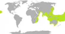 Range of sea snakes shown in lime green, except the widespread, pelagic yellow-bellied sea snake