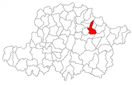 Location in Arad County