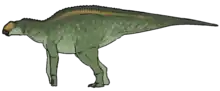 Secernosaurus koerneri