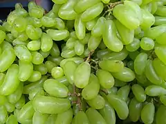 seedless grapes