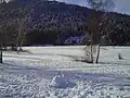 The frozen Wildsee in winter