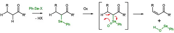 Scheme 2. Selenoxide elimination of carbonyl compounds