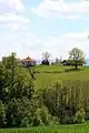 Zabrdica village - panorama