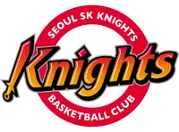 Seoul SK Knights서울 SK 나이츠 logo
