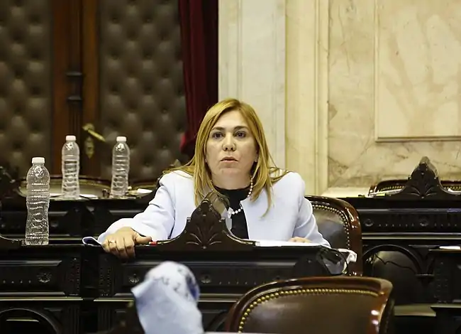 Sesión 13-06-2018 Diputado VILA BEATRIZ72.jpg