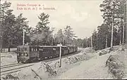 Train of the Seaside Sestroretsk railway, pre-1917